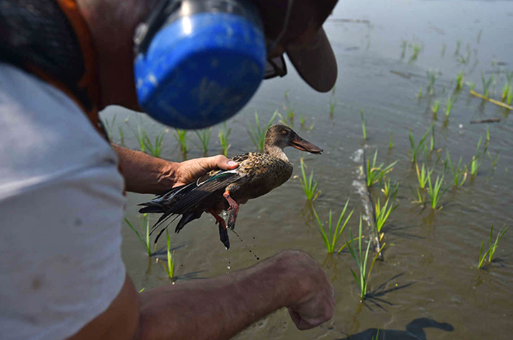 A man holding a dead duck