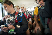 Otis, The Ultimate Skydiving Pug