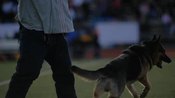 K-9 demonstration at 2010 Pig Bowl half-time show