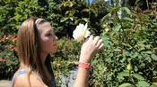 Capitol Rose Garden top 10 in Nation
