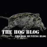 The Hog Blog