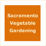 Sacramento Vegetable Gardening