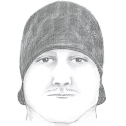 sexassault suspect9.11.jpg