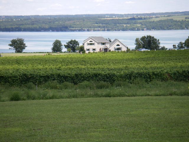 IMGP0248.jpg
