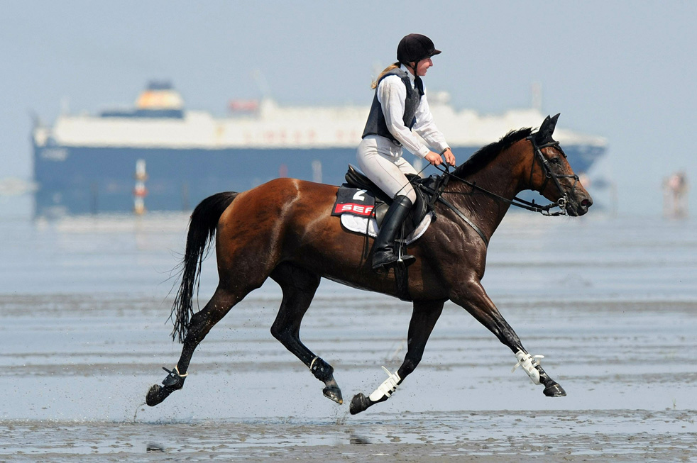 cuxhaven08.jpg