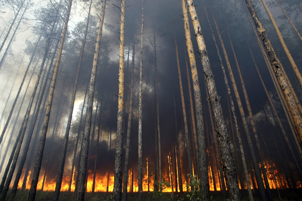 russia_fire02.jpg