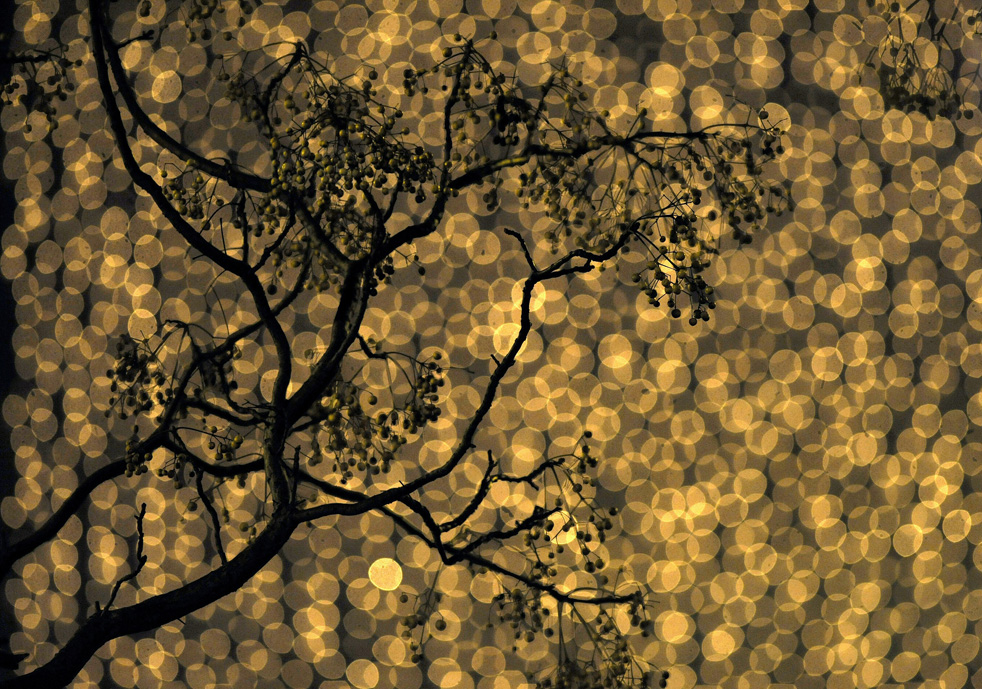 christmas_lights_19.jpg