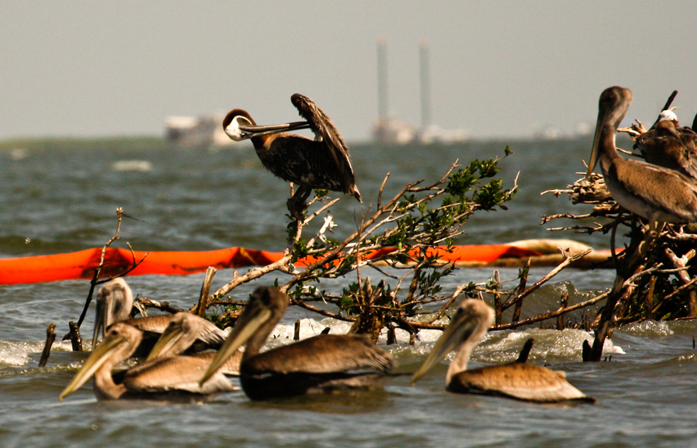 oil_spill_081623.jpg