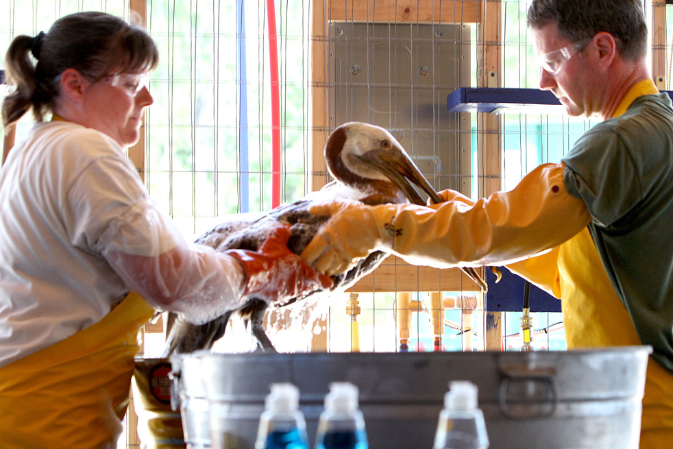 oil_spill_081624.jpg