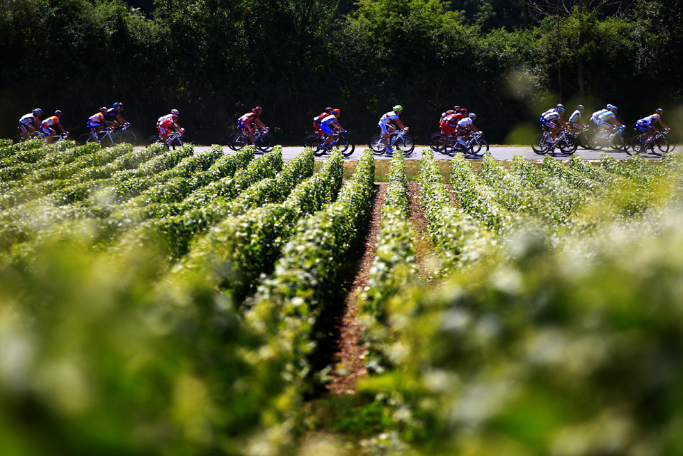tourdefrance24.jpg