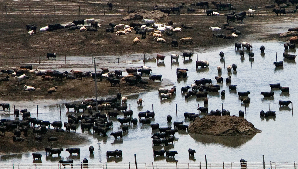 floods19.jpg