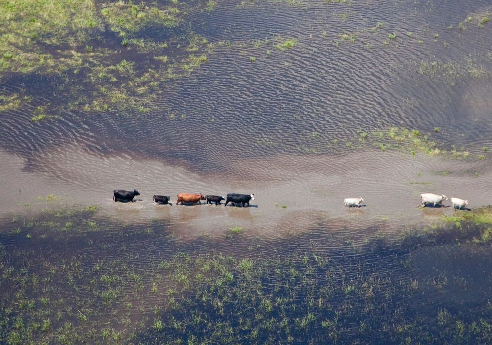 floods22.jpg