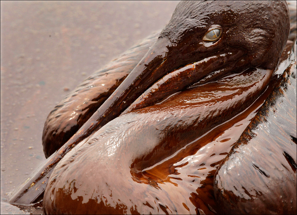 oil_spill_060301.jpg