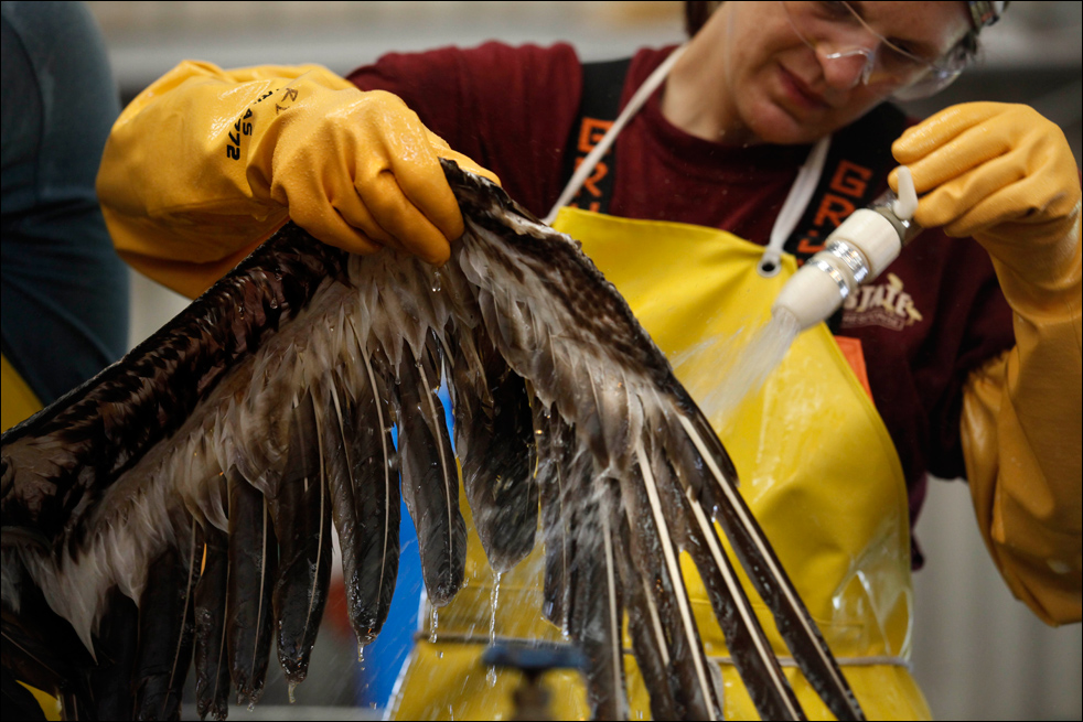oil_spill_060302.jpg