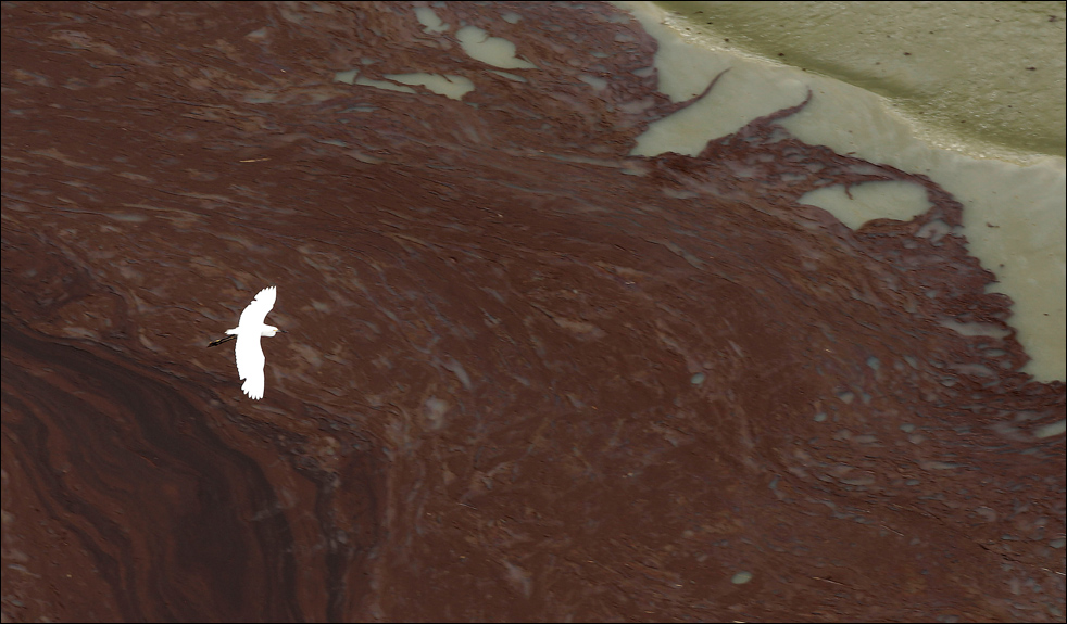 oil_spill_060304.jpg