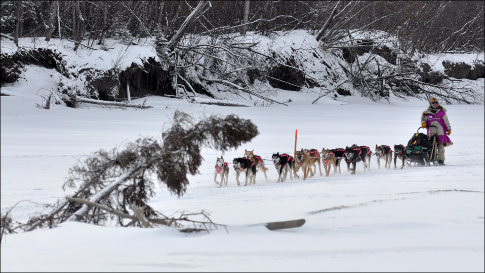 iditarod1002.jpg