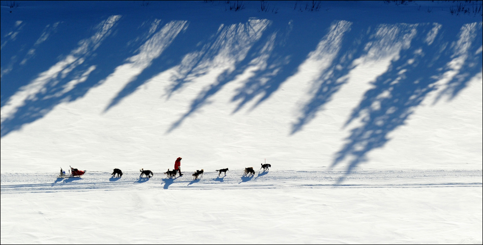 iditarod1005.jpg