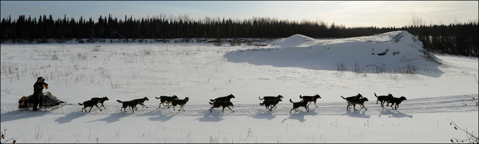 iditarod1006.jpg