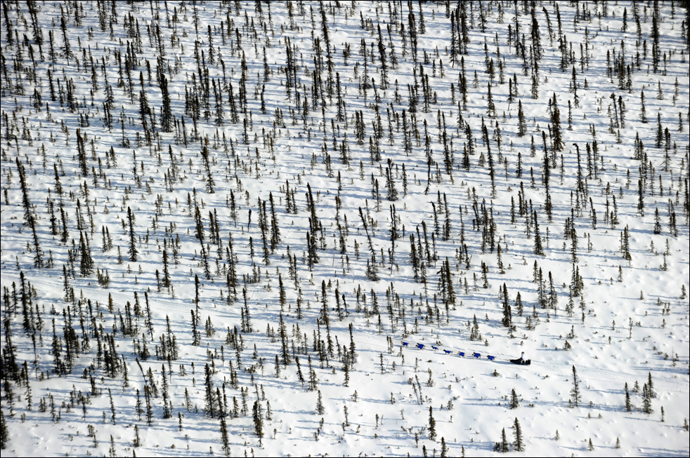 iditarod1009.jpg