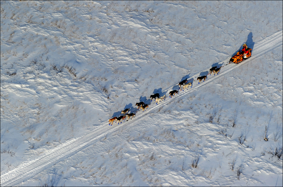 iditarod1010.jpg