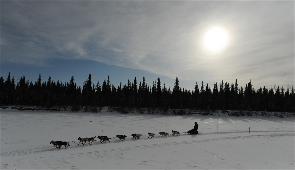iditarod1024.jpg