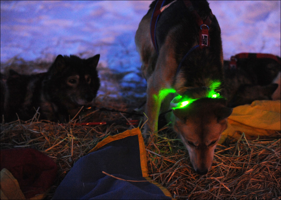 iditarod1027.jpg
