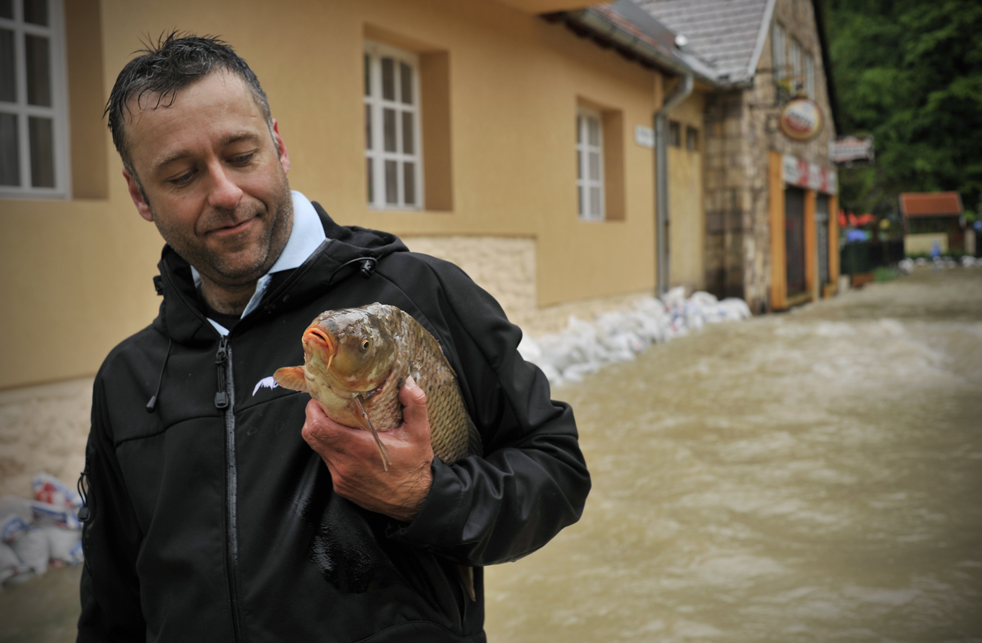 flood18.jpg