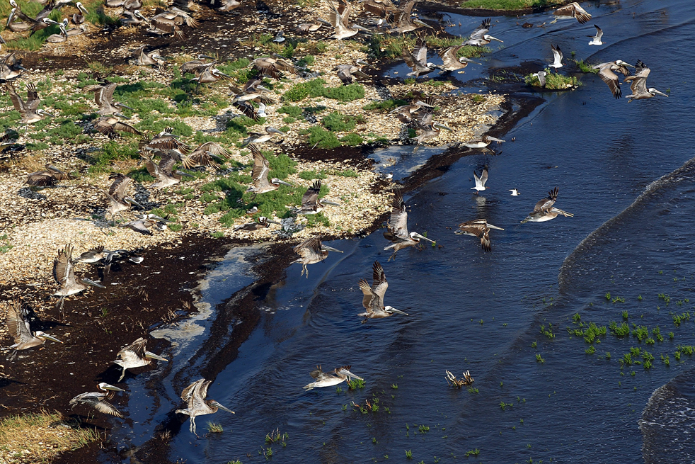oil_spill2705.jpg