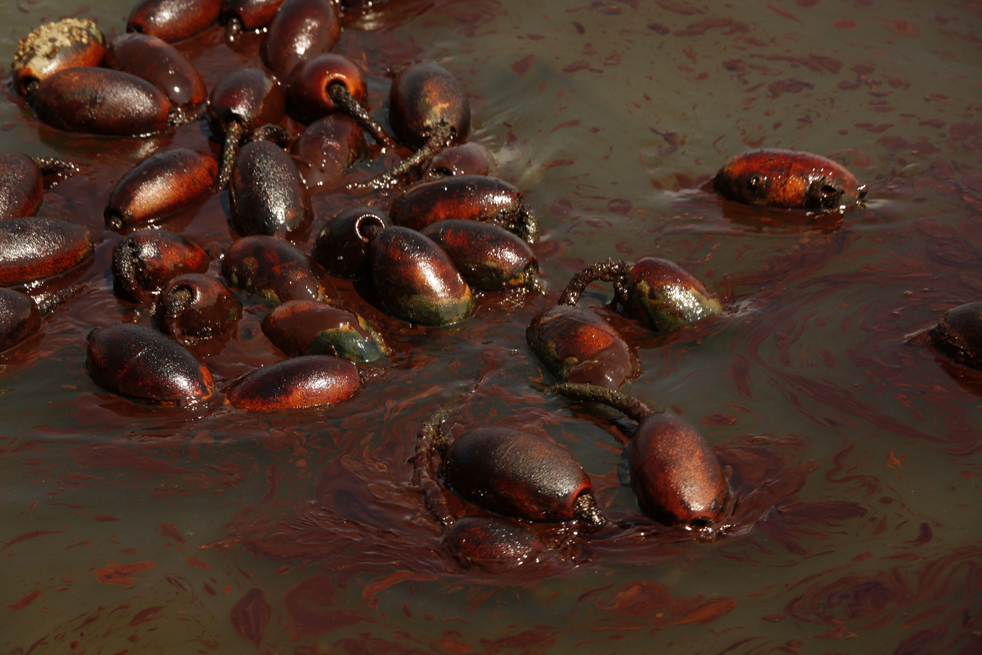 oil_spill2708.jpg