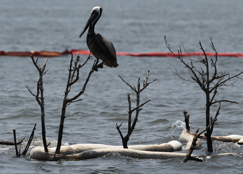 oil_spill2718.jpg