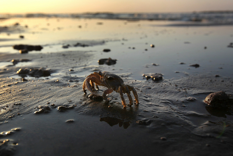 oil_spill2727.jpg