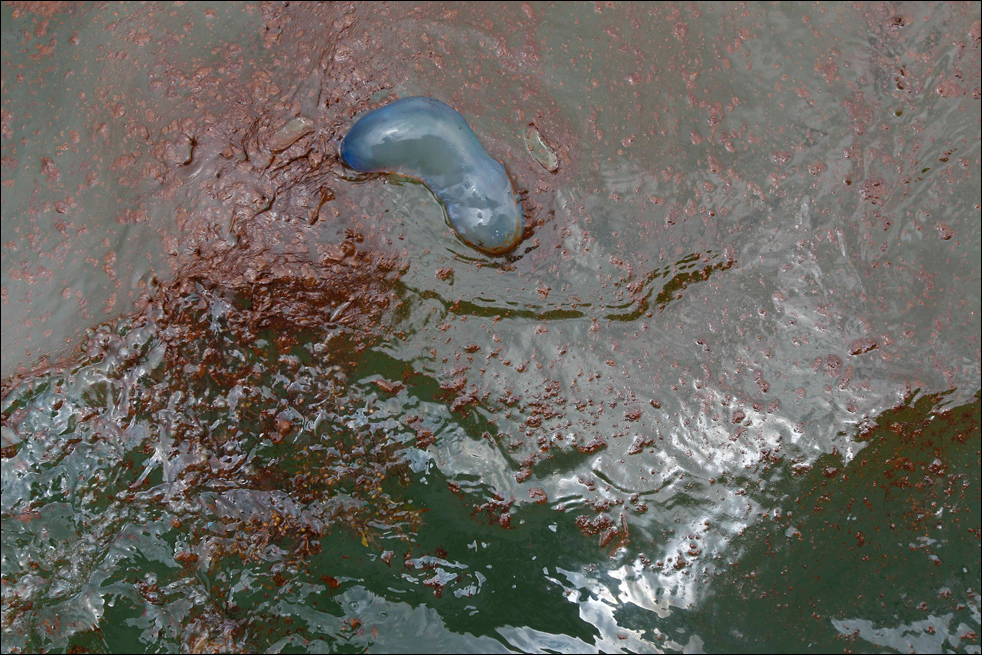 oil_spill06.jpg