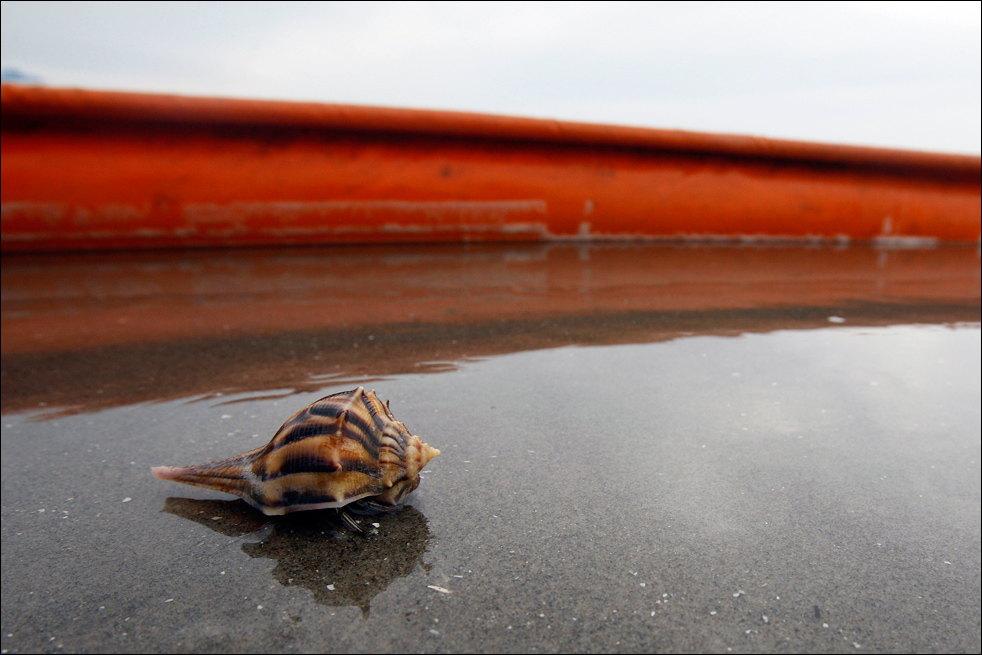 oil_spill12.jpg