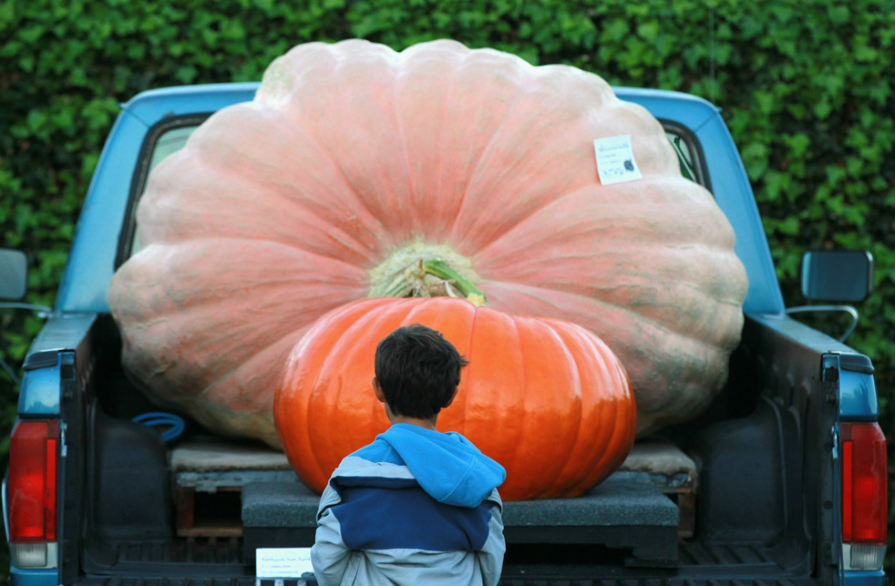 fall_color_09.jpg