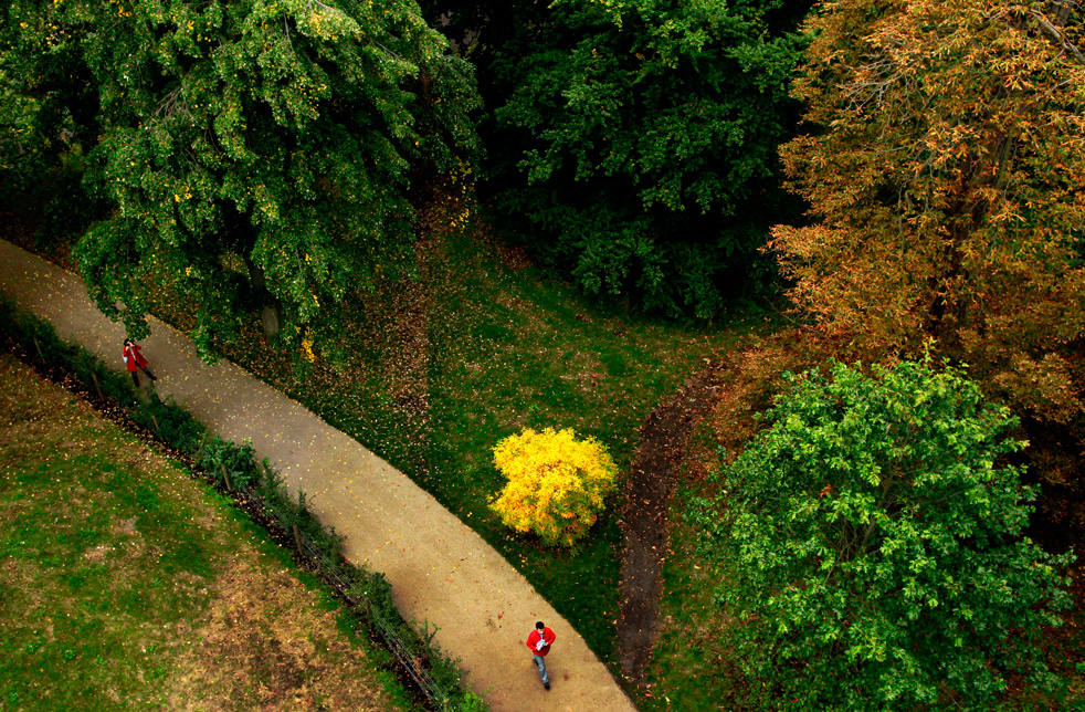 fall_color_13.jpg