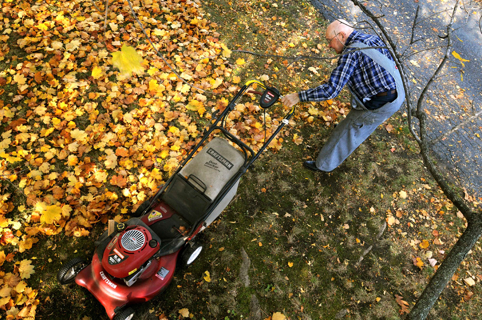 fall_color_33.jpg