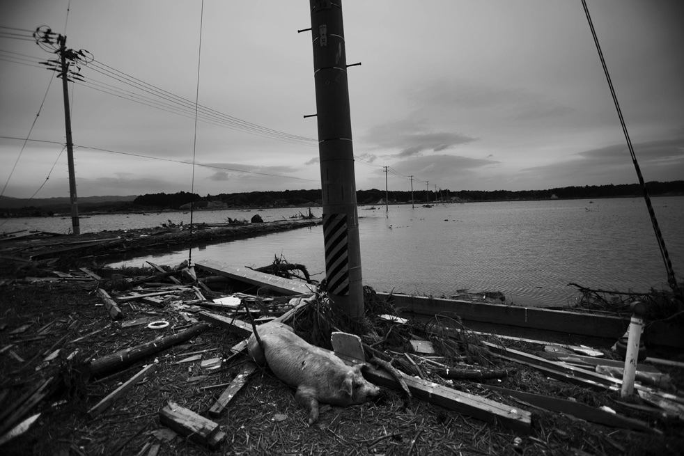 dg_abandoned_04.jpg