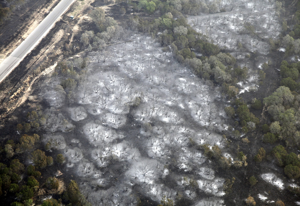 texas_fire_22.jpg