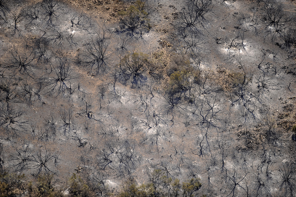 texas_fire_24.jpg