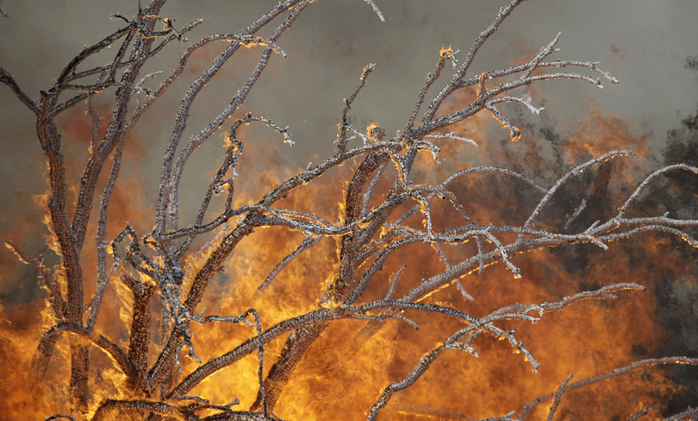 texas_fire_35.jpg