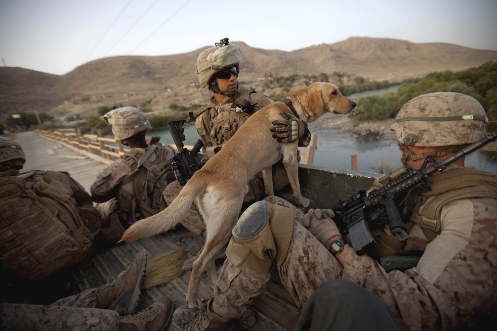 goldman_afghanistan_06.jpg