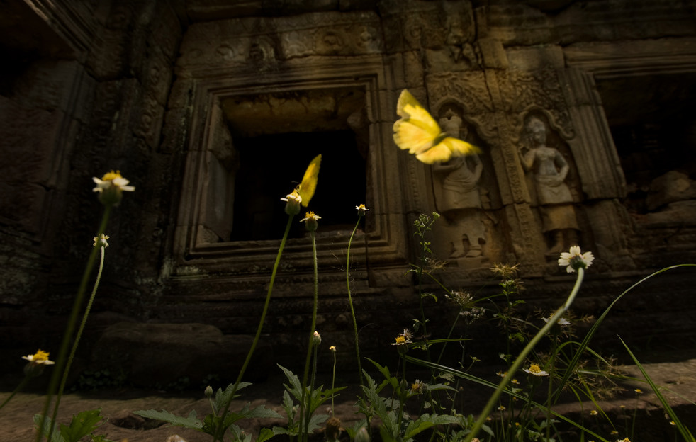 angkor_wat_b_16.jpg