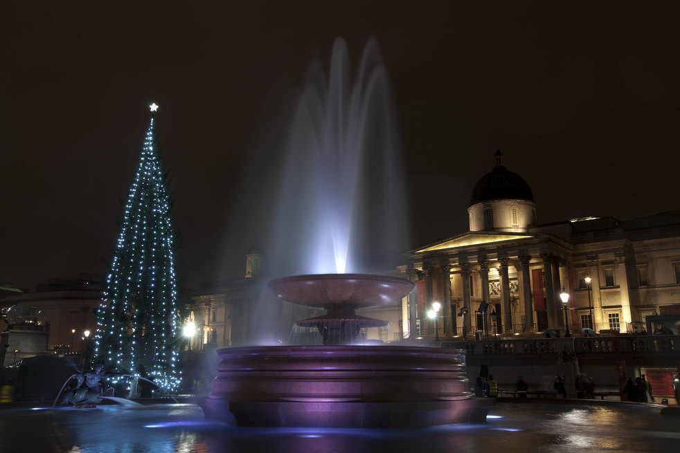 holiday_lights_2011_06.jpg