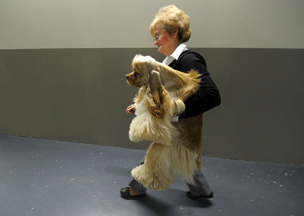 dog_show_07.jpg