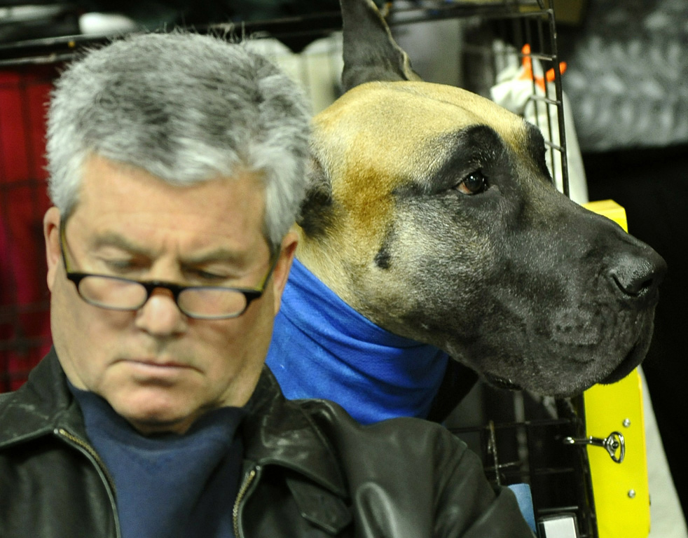 dog_show_26.jpg