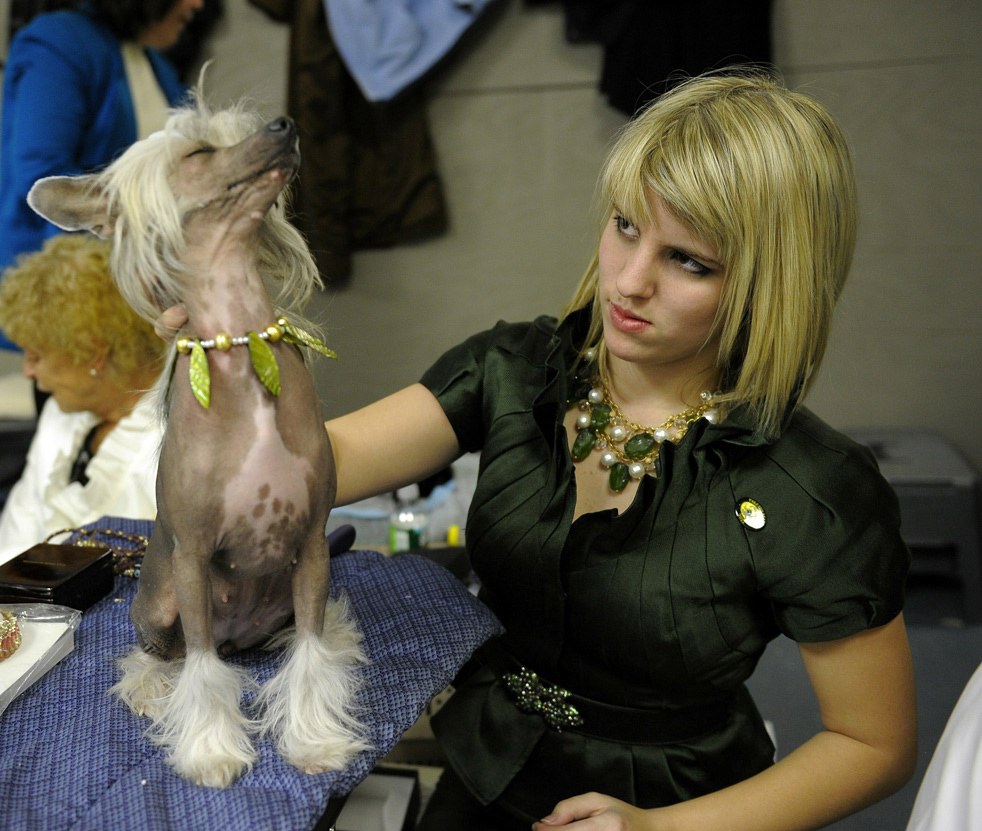 dog_show_28.jpg