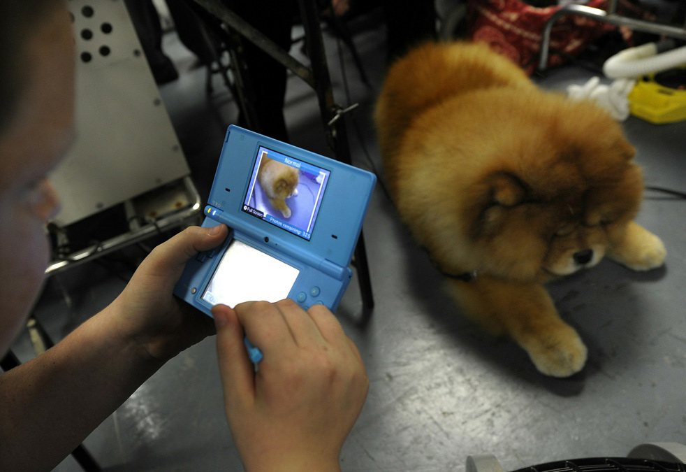 dog_show_29.jpg