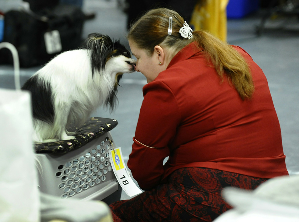 dog_show_31.jpg
