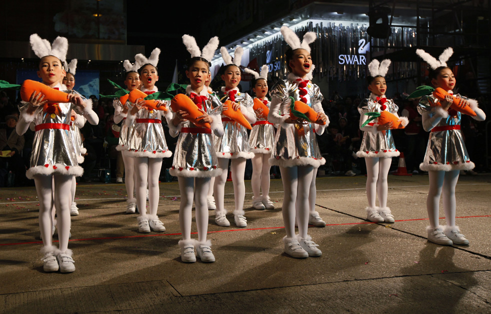 lunar_rabbit_21.jpg