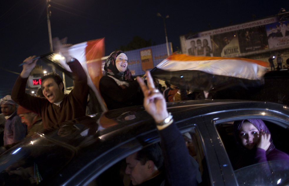 mubarak_leaves_06.jpg